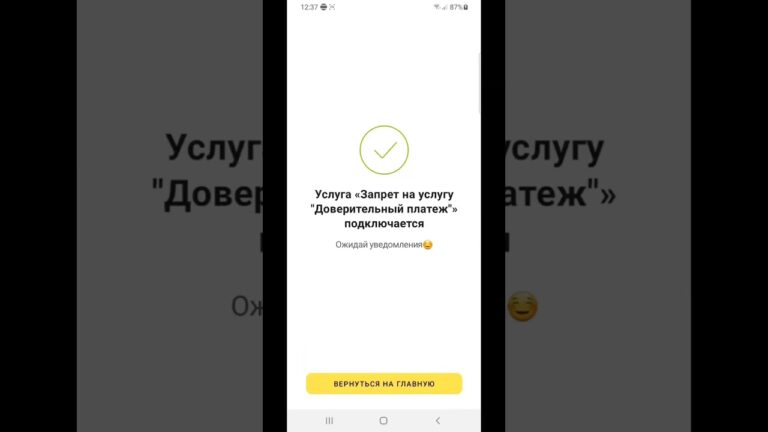 Kak-otklyuchit-uslugu-doveritelnyj-platezh-bilajn-na-telefone